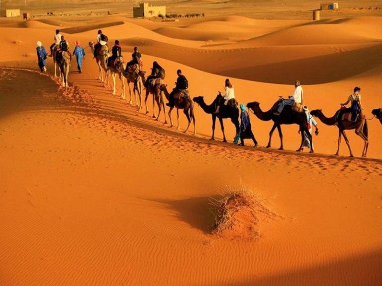 Group of travelers on a camel trek in the Moroccan Sahara