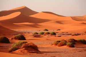 Traditional desert camp during a camel trek in Morocco under starry sky