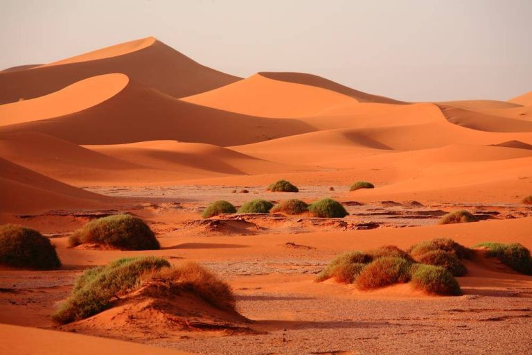 Traditional desert camp during a camel trek in Morocco under starry sky