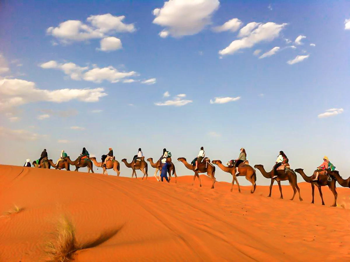 Camel caravan during Marrakech to Chigaga desert tour at sunset