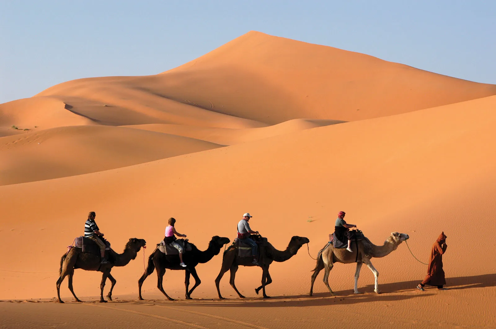 Camel caravan journey through the Sahara Desert Morocco's Erg Chegaga dunes.