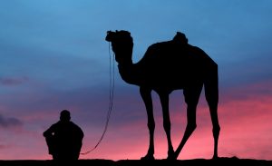 Camel tour in the Sahara desert during day trips from Agadir