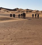 Desert Tour From Foum Zguid