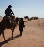 Zagora camel trekking